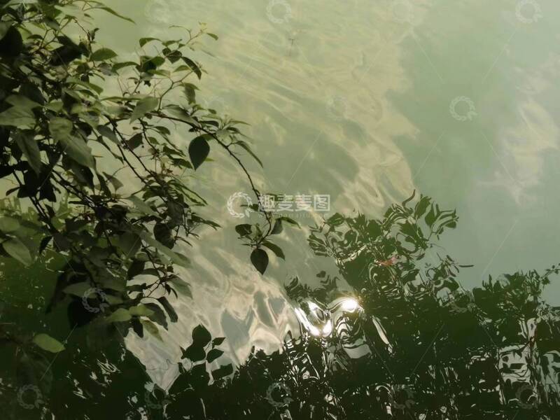 高清大图下载【趣麦麦图】山水光影树枝风景摄影