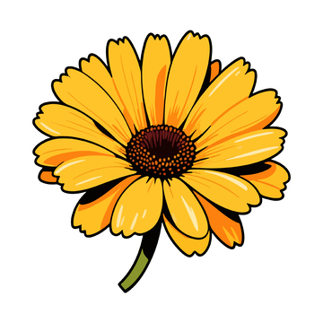 手绘风格金黄色菊花插画