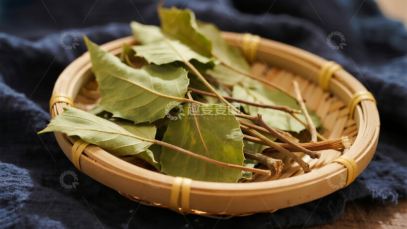 高清大图下载【趣麦麦图】药本植物之干的淫羊藿