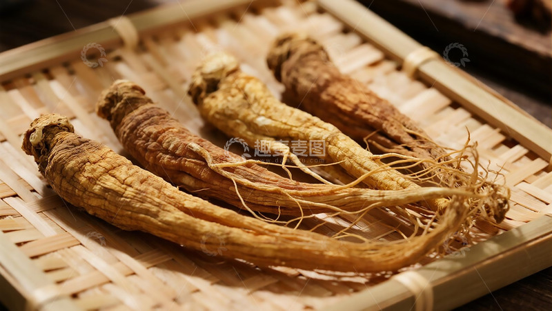 高清大图下载【趣麦麦图】药本植物之山参