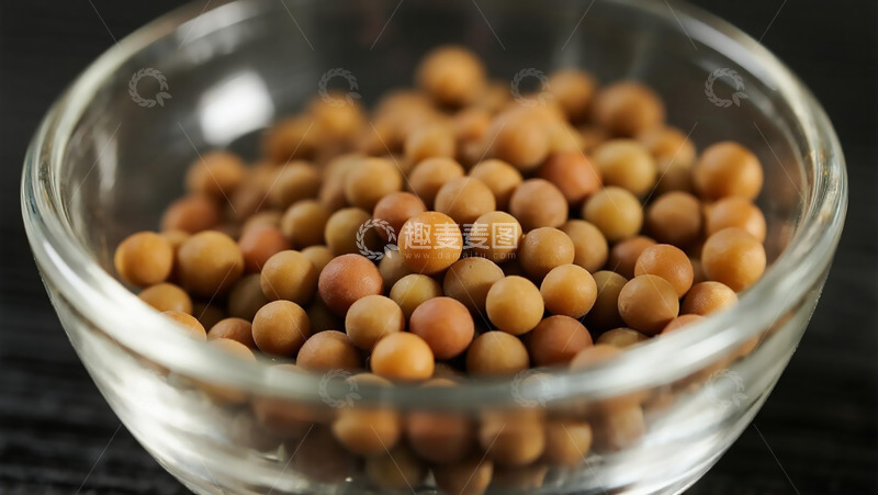 高清大图下载【趣麦麦图】药本植物之菟丝子