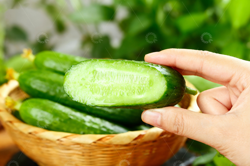 高清大图下载【趣麦麦图】青瓜水果蔬菜11