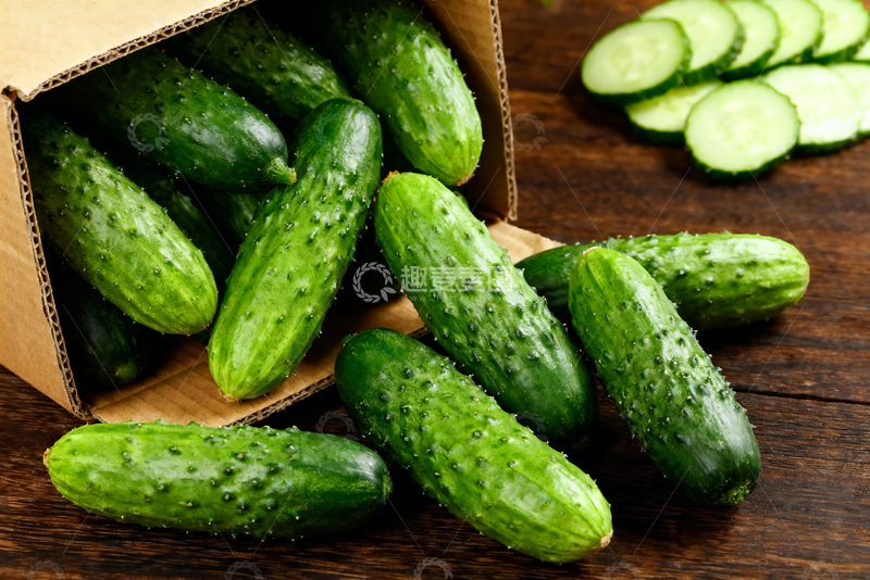 高清大图下载【趣麦麦图】水果黄瓜绿色清新6