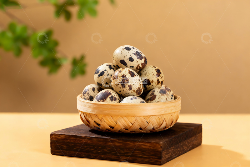 高清大图下载【趣麦麦图】生农家鹌鹑蛋1