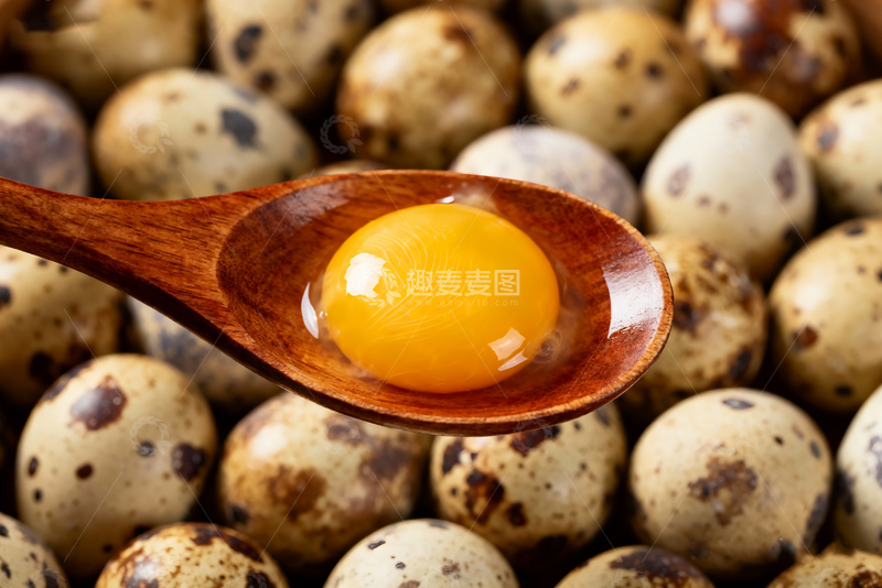 高清大图下载【趣麦麦图】散养鹌鹑蛋农产品6