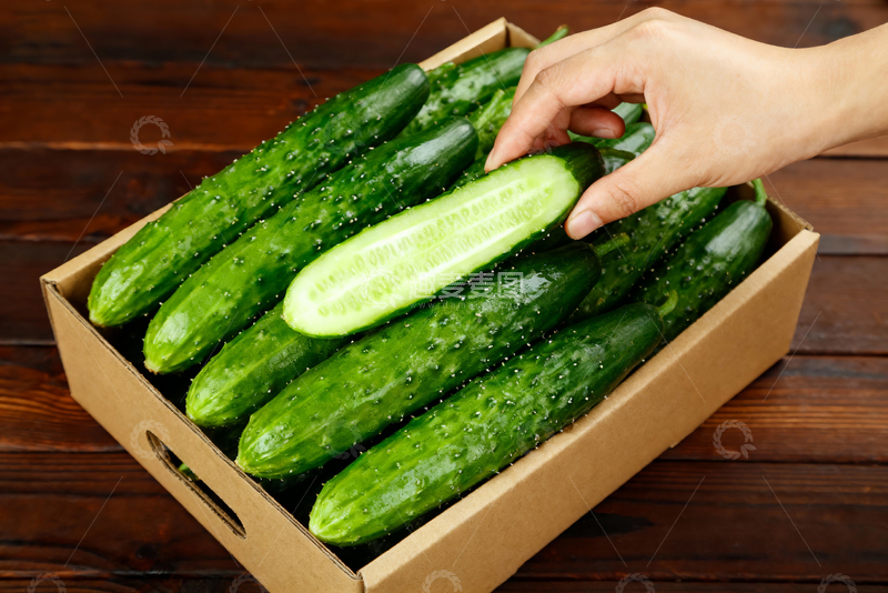 高清大图下载【趣麦麦图】青瓜水果蔬菜15