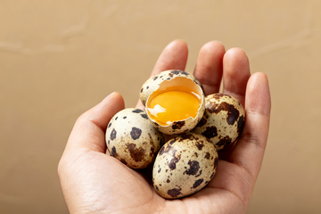 农产品散养鹌鹑蛋