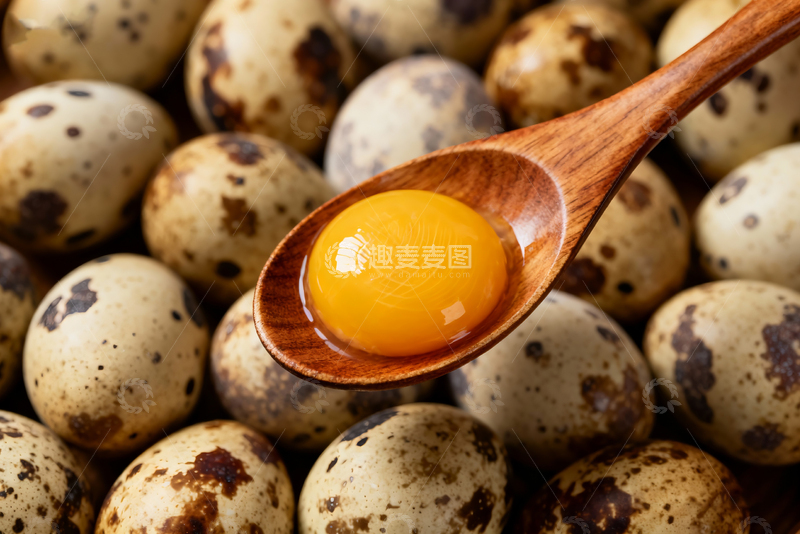 高清大图下载【趣麦麦图】散养鹌鹑蛋农产品13