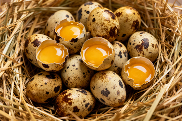 农产品散养鹌鹑蛋4