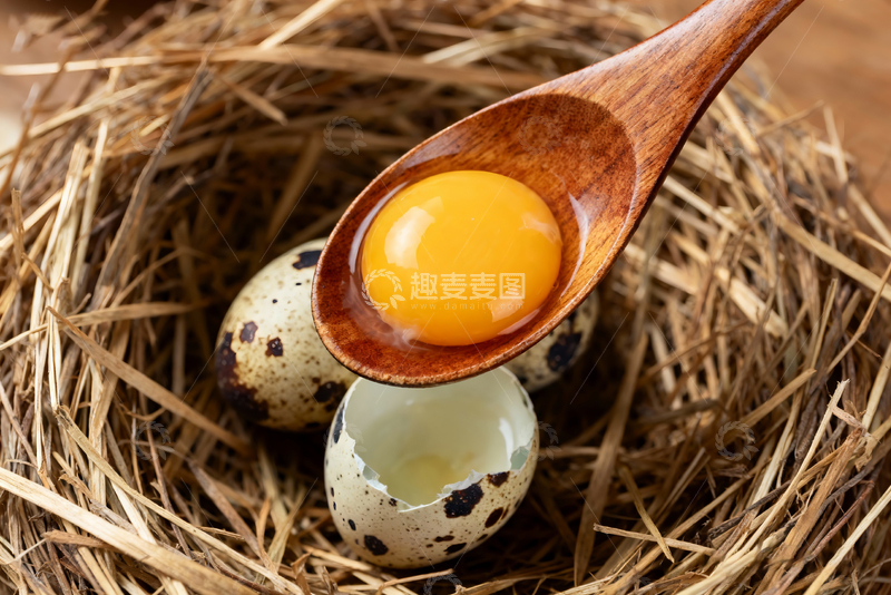 高清大图下载【趣麦麦图】散养鹌鹑蛋农产品0