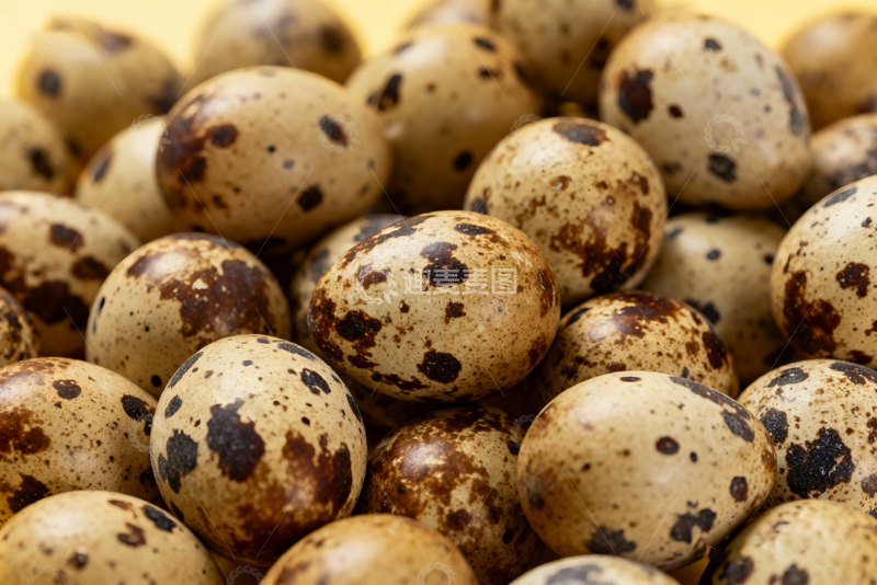 高清大图下载【趣麦麦图】散养鹌鹑蛋农产品