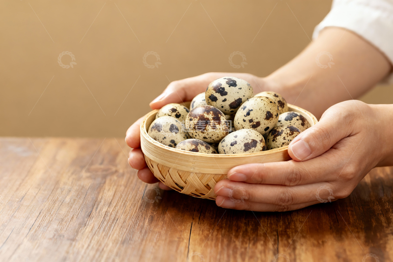 高清大图下载【趣麦麦图】散养鹌鹑蛋农产品12