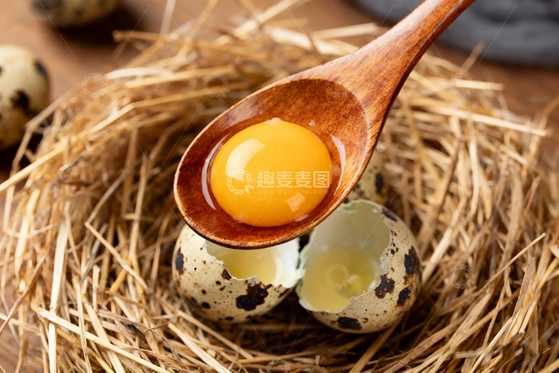 高清大图下载【趣麦麦图】散养鹌鹑蛋农产品9