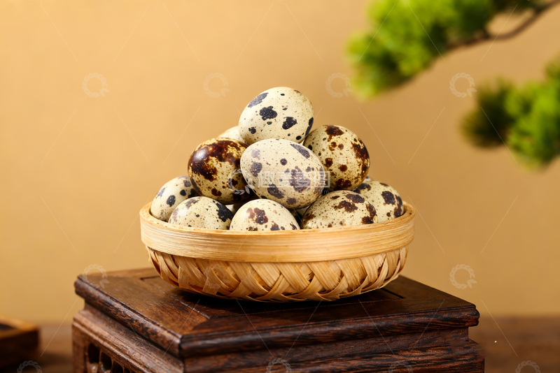 高清大图下载【趣麦麦图】散养鹌鹑蛋农产品3