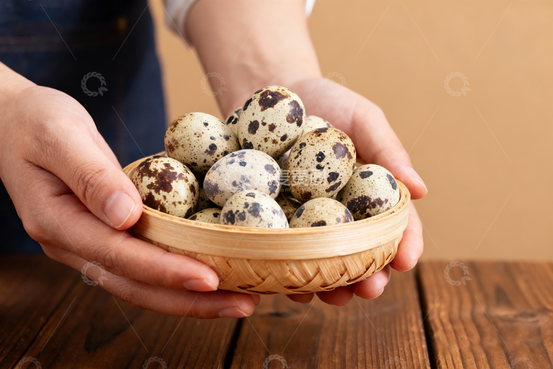 高清大图下载【趣麦麦图】散养鹌鹑蛋农产品10