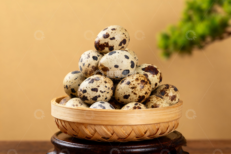 高清大图下载【趣麦麦图】新鲜农家鹌鹑蛋2