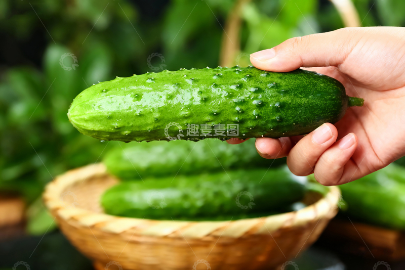高清大图下载【趣麦麦图】水果黄瓜绿色清新12