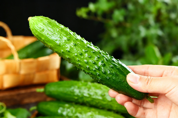 水果黄瓜小青瓜0