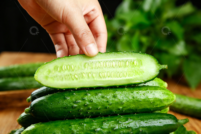 高清大图下载【趣麦麦图】-小黄瓜水果黄瓜4