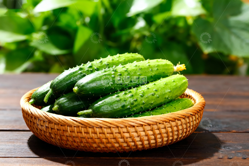 高清大图下载【趣麦麦图】-小黄瓜水果黄瓜15