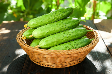 小黄瓜水果黄瓜10