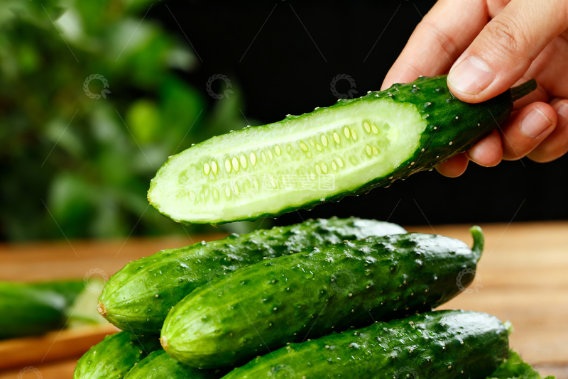 高清大图下载【趣麦麦图】-小黄瓜水果黄瓜14