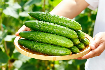 水果黄瓜小青瓜6