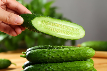 小黄瓜水果黄瓜9