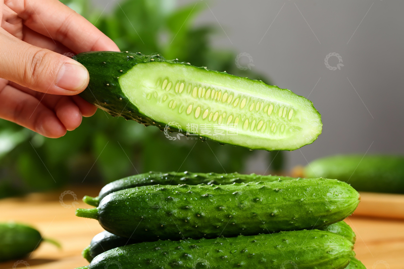 高清大图下载【趣麦麦图】-小黄瓜水果黄瓜9