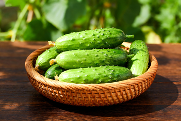 小黄瓜水果黄瓜