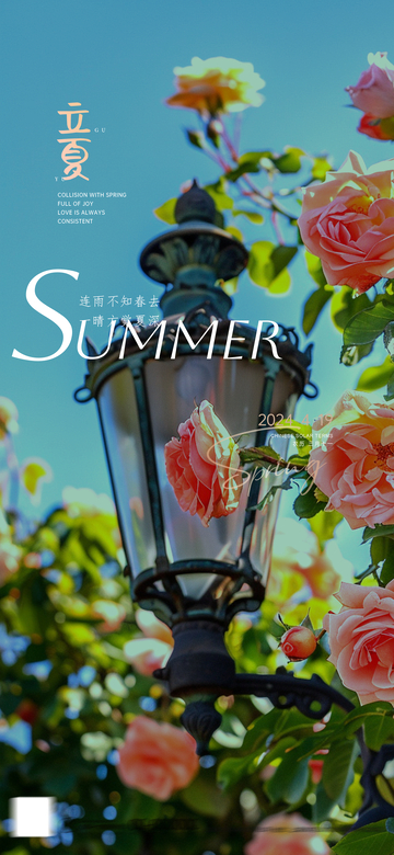 立夏花香路灯图