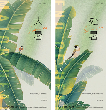 处暑大暑热带植物节气海报