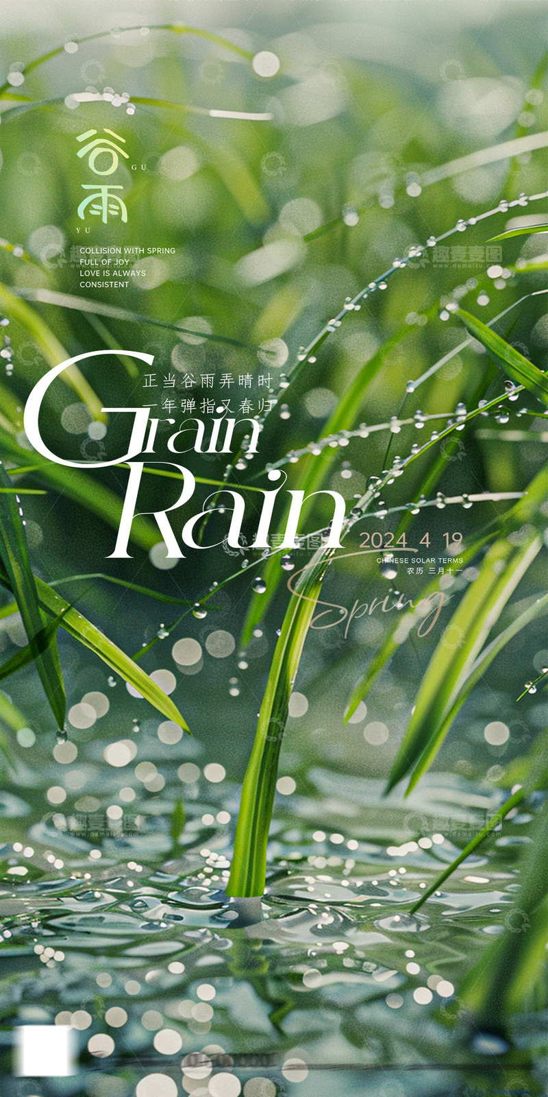 源文件下载【趣麦麦图】-谷雨春光绿意海报