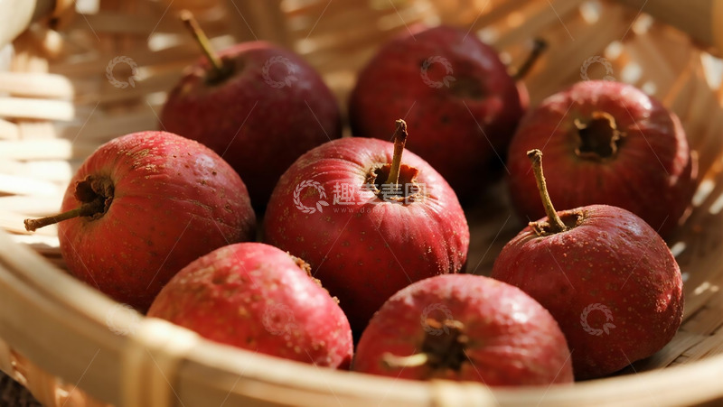 高清大图下载【趣麦麦图】药本植物之山楂果