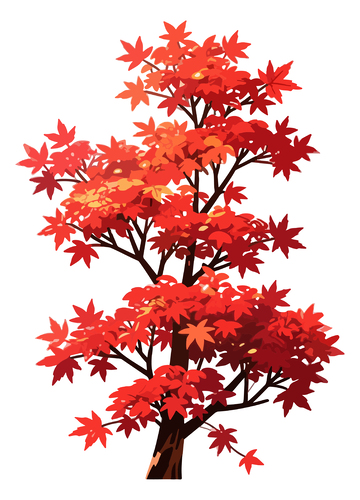 秋枫树插画素材