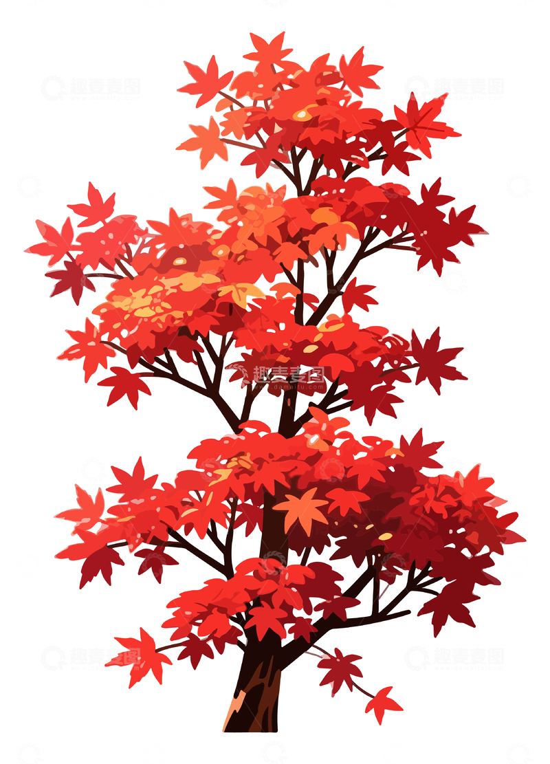 源文件下载【趣麦麦图】-秋枫树插画素材