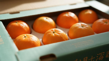 蔬菜水果之纸盒橘子