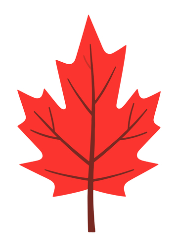 卡通枫叶图案设计元素
