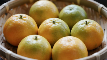 蔬菜水果之竹篮橘子