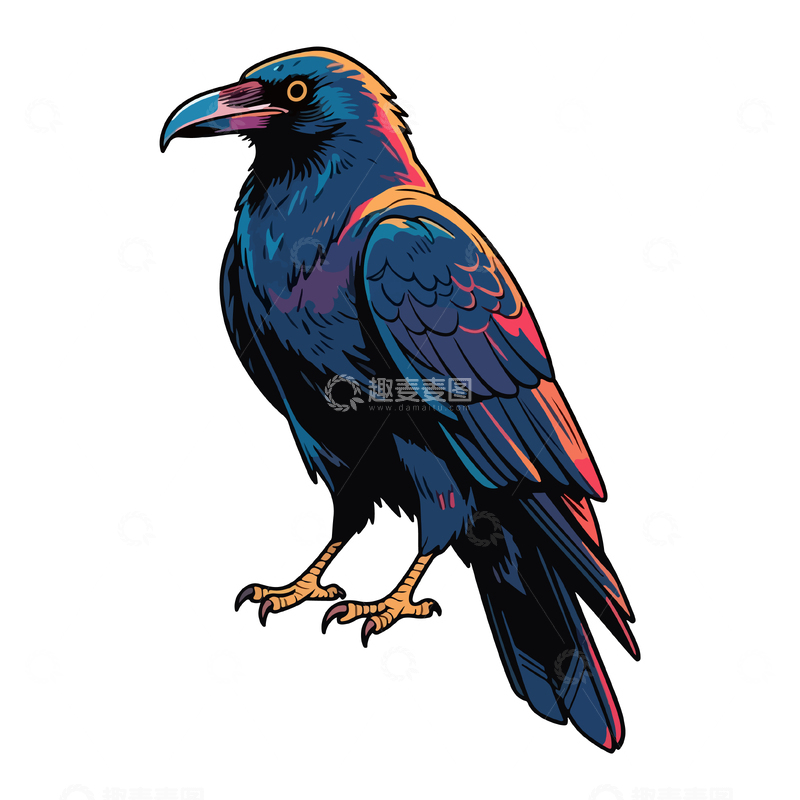 源文件下载【趣麦麦图】彩绘乌鸦鸟类插画设计素材