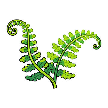 卡通蕨类植物插画