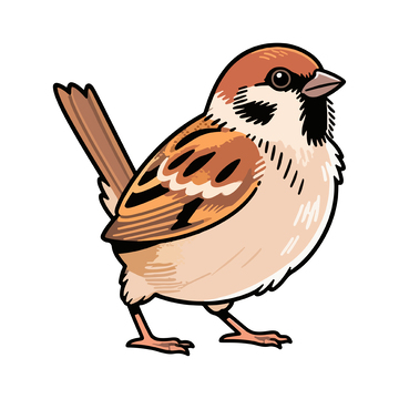 卡通麻雀插画设计素材