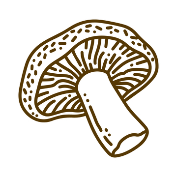 简约线条蘑菇插画素材