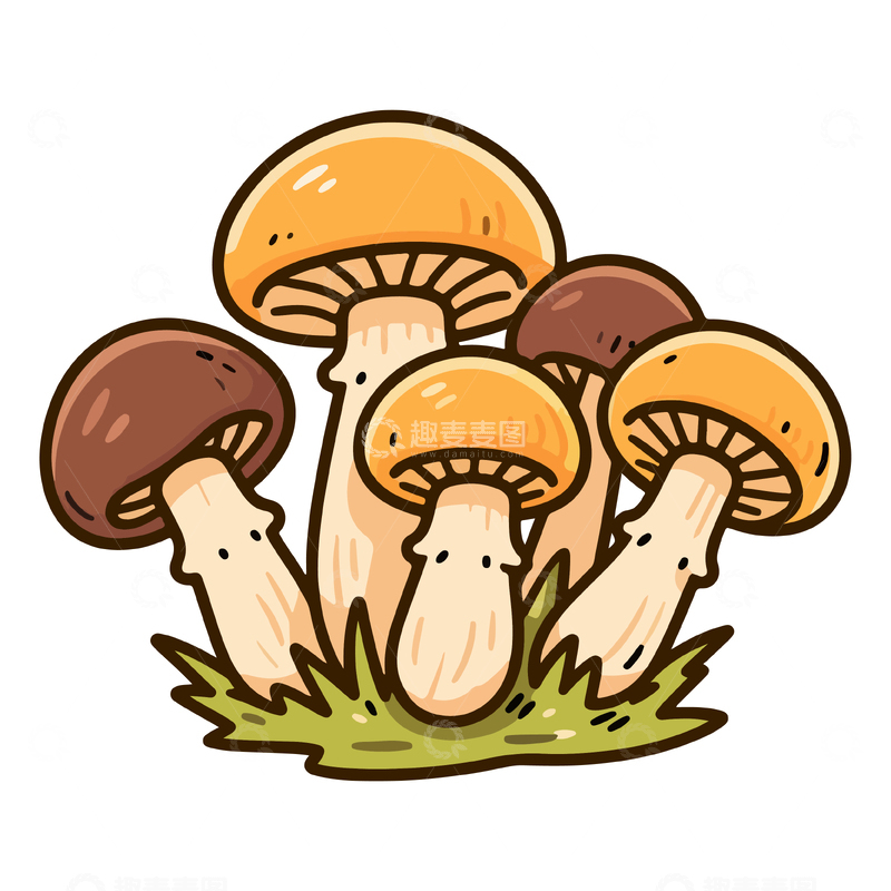 源文件下载【趣麦麦图】-卡通蘑菇手绘插画素材