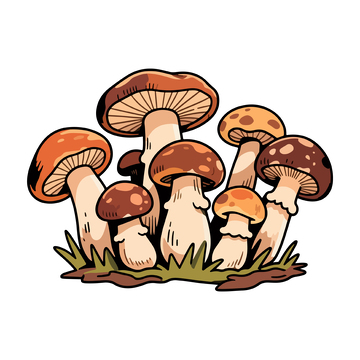 卡通蘑菇手绘插画素材