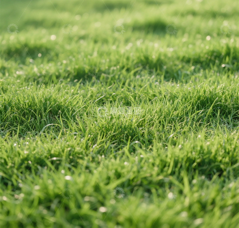 高清大图下载【趣麦麦图】鲜绿草地风光摄影图片