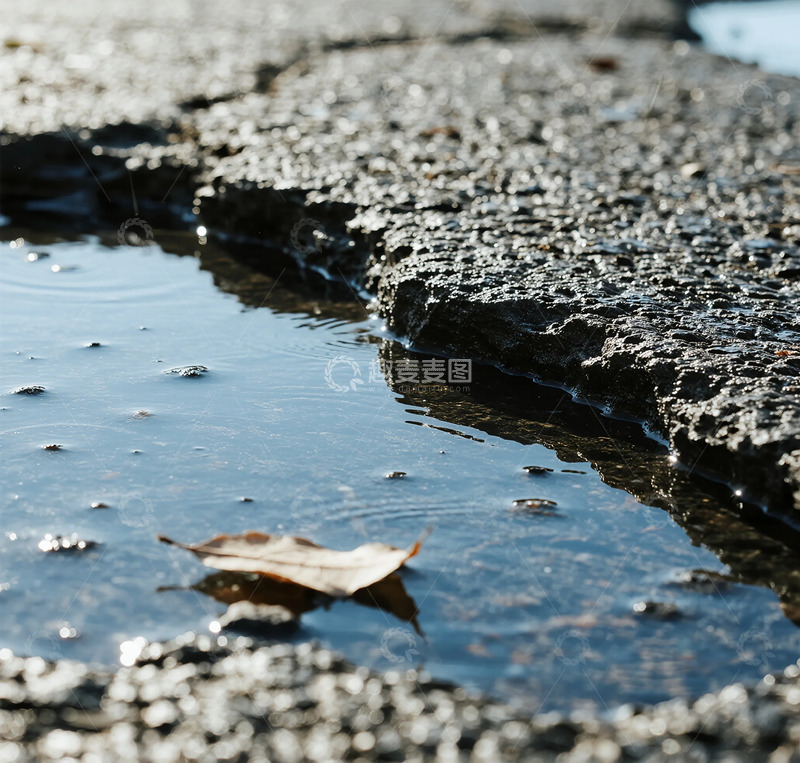 高清大图下载【趣麦麦图】雨后路面积水落叶