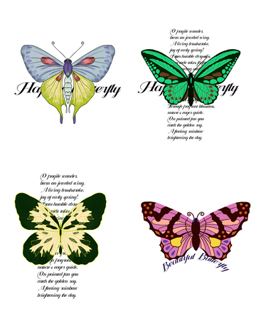 彩蝶插画设计素材