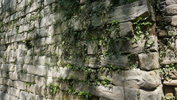 石墙绿植自然风光