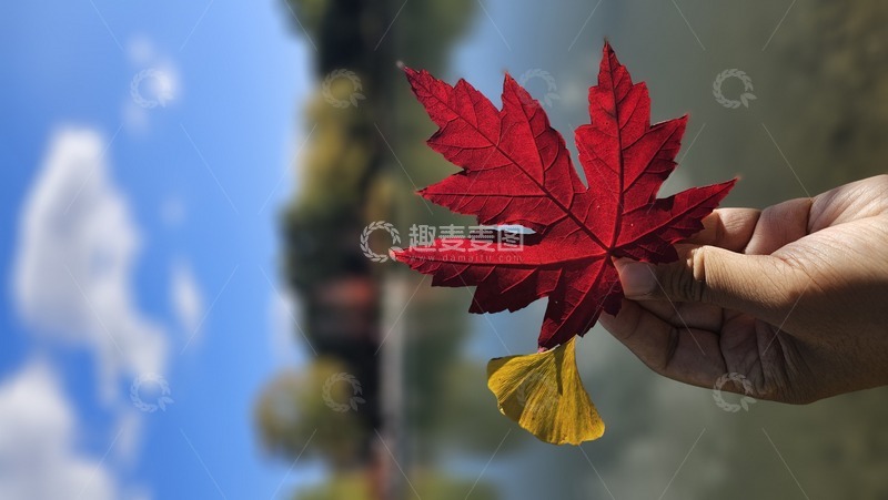 高清大图下载【趣麦麦图】-秋意正浓逛公园